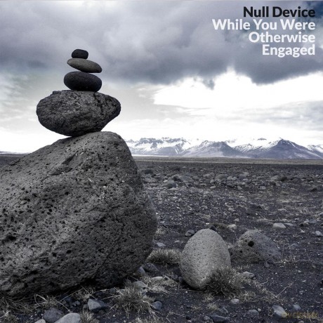 Null Device: While You Were Otherwise Engaged [CD]