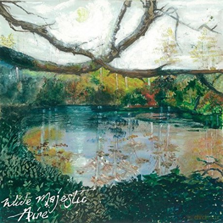Trembling Bells: Wide Majestic Aire [Winyl]