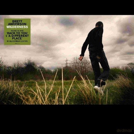 Brett Anderson: Wilderness (Coloured) [Winyl]