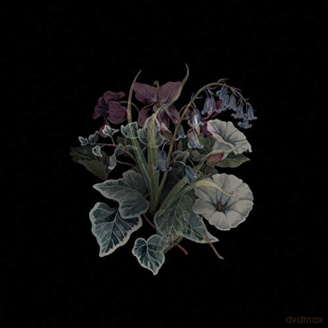 Nhor: Wildflowers [2xWinyl]