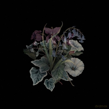 Nhor: Wildflowers (Green) [2xWinyl]