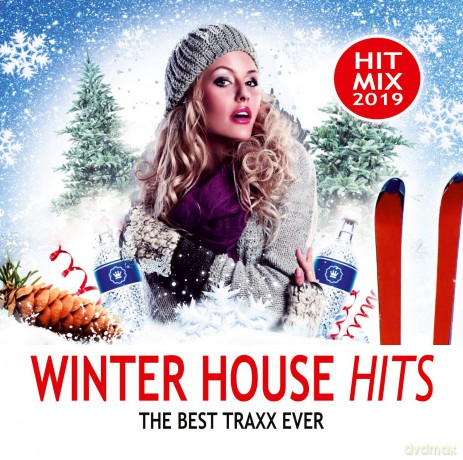 Winter House Hits 2019 [CD]