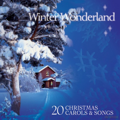 Winter Wonderland Favourite Christmas [CD]
