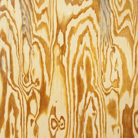 Mazes: Wooden Aquarium [CD]