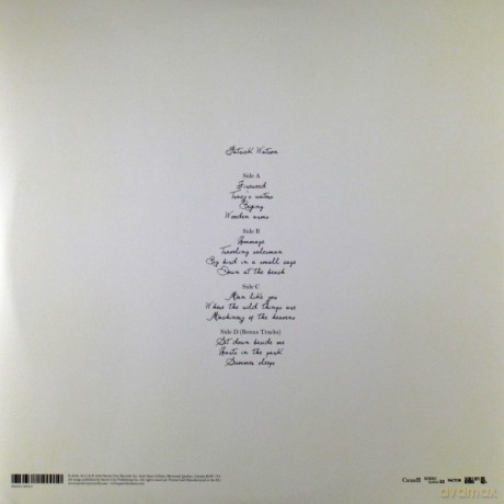 Patrick Watson: Wooden Arms [Winyl]