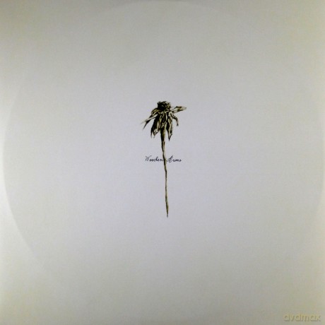 Patrick Watson: Wooden Arms [Winyl]