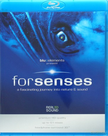 Elements Project: Forsenses [Blu-Ray]