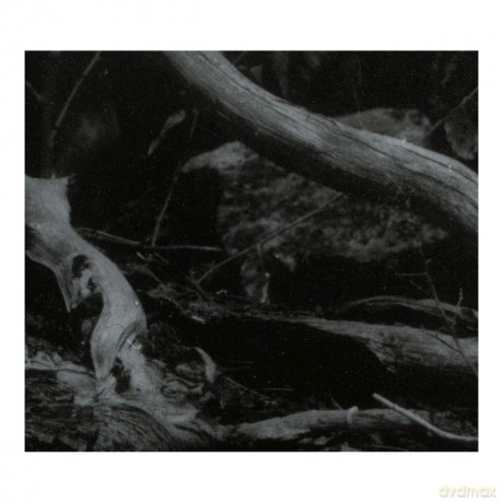 Barren Canyon: World Of Wounds [CD]