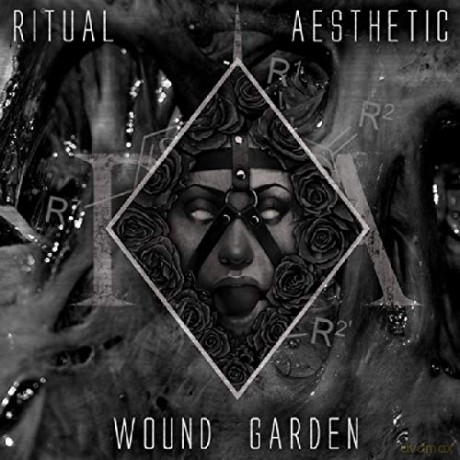 Ritual Aesthetic: Wound Garden [Winyl]