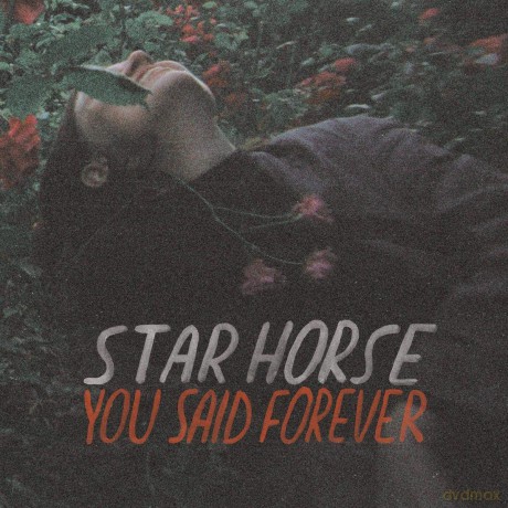 Star Horse: You Said Forever [Winyl]