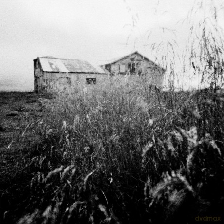 A Sun Amissa: You Stood Up For Victor [CD]