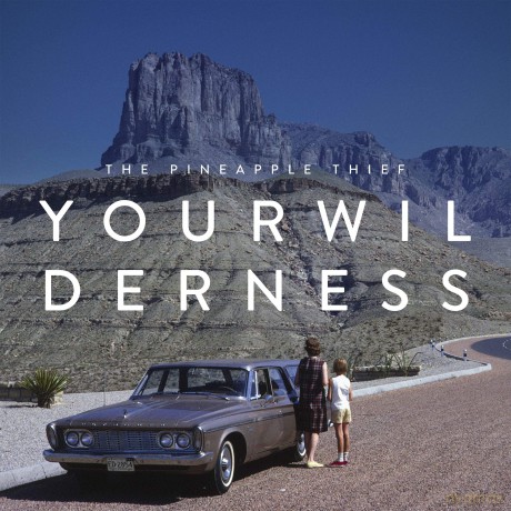 The Pineapple Thief: Your Wilderness [Winyl]
