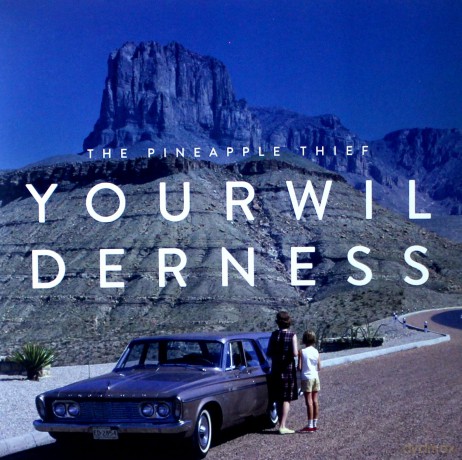 The Pineapple Thief: Your Wilderness [Winyl]