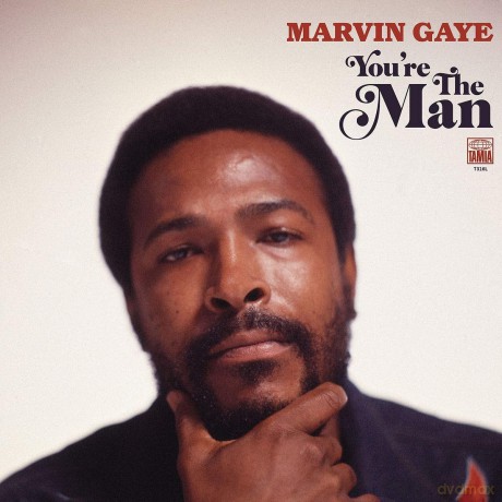 Marvin Gaye: Youre The Man [2xWinyl]