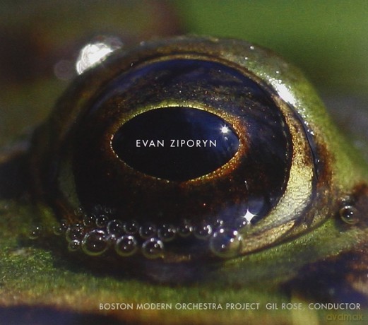 Boston Modern Or Projectrose: Ziporynfrogs Eye [CD]