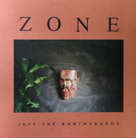 Jeff The Brotherhood: Zone [Winyl]