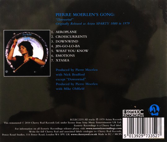 Pierre Moerlens Gong: Downwind [CD]