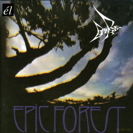 Rare Bird: Epic Forest [CD]