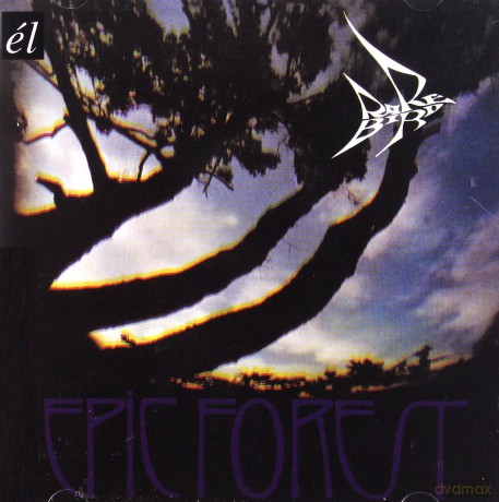 Rare Bird: Epic Forest [CD]