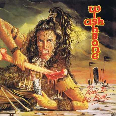 Wishbone Ash: Raw To The Bone (Picture) [Winyl]