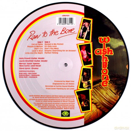 Wishbone Ash: Raw To The Bone (Picture) [Winyl]