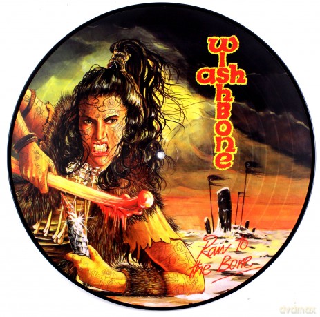 Wishbone Ash: Raw To The Bone (Picture) [Winyl]