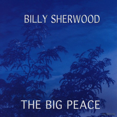 Billy Sherwood: The Big Peace [CD]