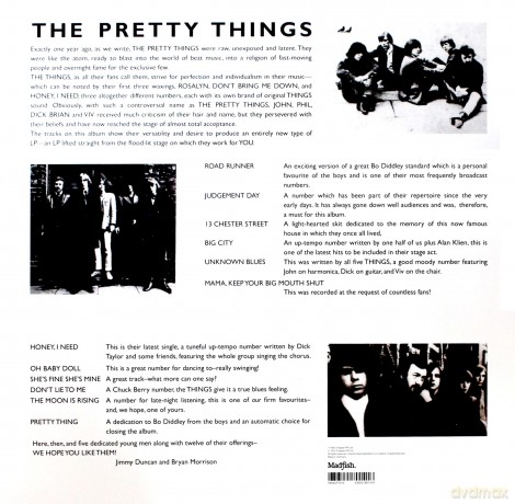 Pretty Things: The Pretty Things [Winyl]