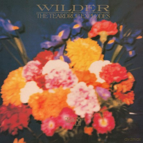 Teardrop Explodes: Wilder [Winyl]