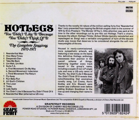Hotlegs: You Didn't Like It Because You Didn't [CD]