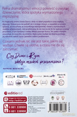 Rysunkowy chłopak - K.N. Haner [KSIĄŻKA]