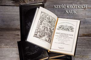 Sześć krótkich nauk dogmatyczno- moralnych o rzeczywistości [KSIĄŻKA]