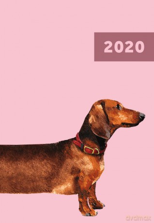 Kalendarz 2020 A6 tygodniowy overgrown [KALENDARZ]