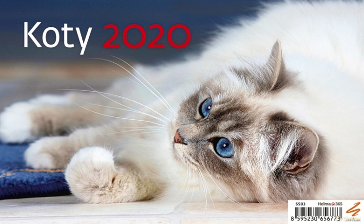 Kalendarz 2020 biurkowy koty [KALENDARZ]