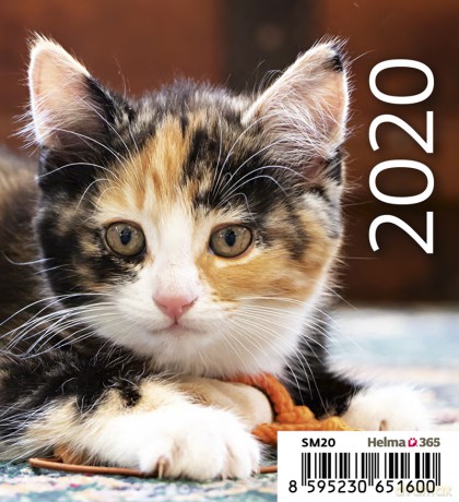 Kalendarz 2020 biurkowy mini kotki [KALENDARZ]