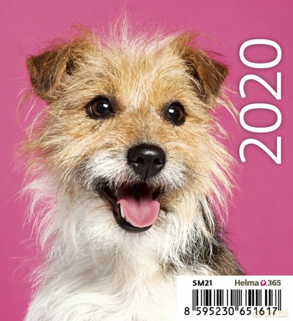 Kalendarz 2020 biurkowy mini pieski [KALENDARZ]