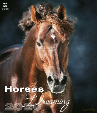 Kalendarz 2020 horses dreaming [KALENDARZ]