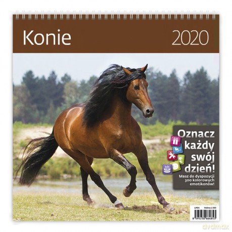 Kalendarz 2020 konie 30x30 [KALENDARZ]