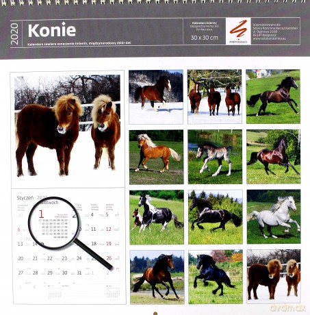 Kalendarz 2020 konie 30x30 [KALENDARZ]