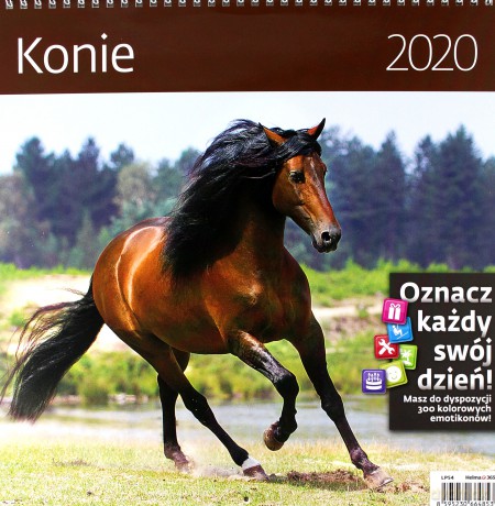 Kalendarz 2020 konie 30x30 [KALENDARZ]