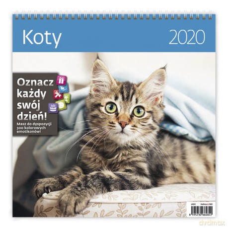 Kalendarz 2020 koty 30x30 [KALENDARZ]