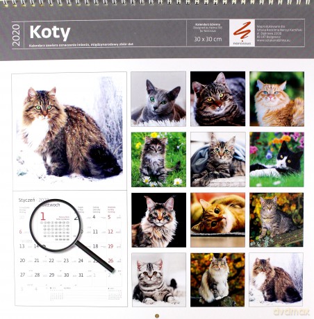 Kalendarz 2020 koty 30x30 [KALENDARZ]