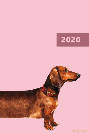 Kalendarz 2020 narcissus A5 dzień overgrown [KALENDARZ]