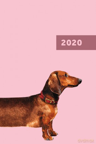 Kalendarz 2020 narcissus A5 tygodniowy overgrown [KALENDARZ]