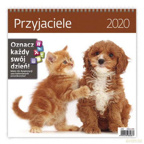 Kalendarz 2020 przyjaciele 30x30 [KALENDARZ]