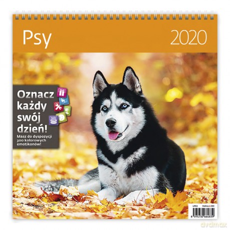 Kalendarz 2020 psy 30x30 [KALENDARZ]