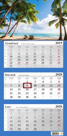 Kalendarz 2020 trójdzielny mix 6 wzorów [KALENDARZ]