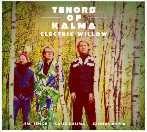 Tenors Of Kalma: Electric Willow [CD]