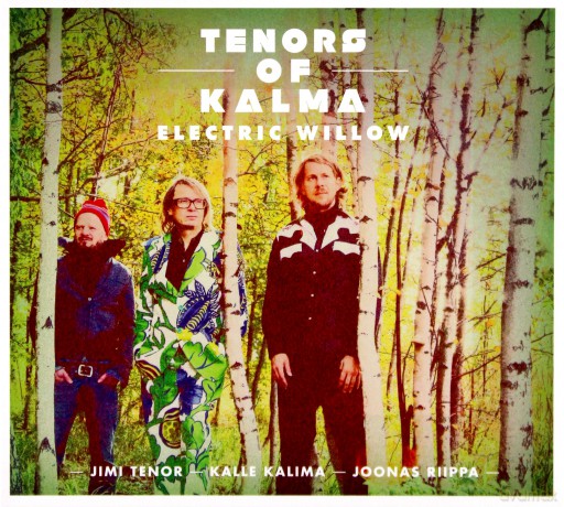 Tenors Of Kalma: Electric Willow [CD]
