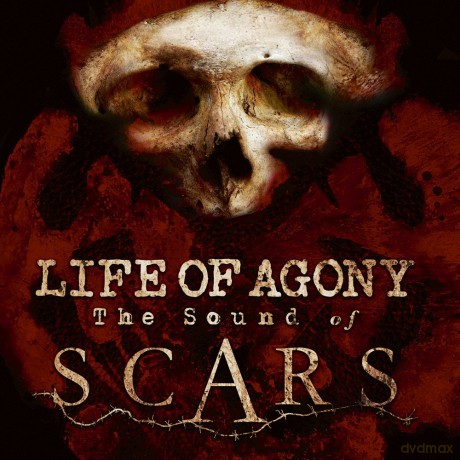 Life Of Agony: The Sound Of Scars [Winyl]